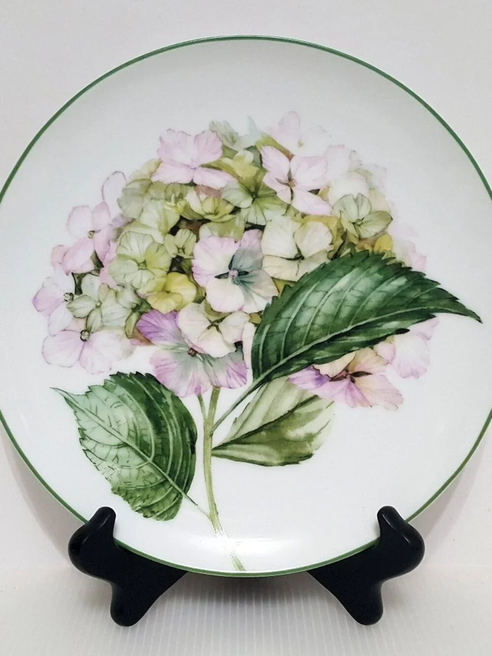 Williams Sonoma S/4 Hydrangea Salad Plates 8.5